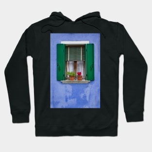 Window Hoodie